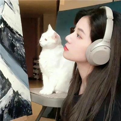 兄弟没狗不应该