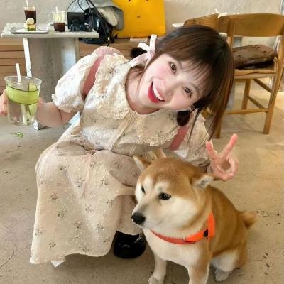 崭新夏日